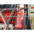 5t/H Tomato Paste Production Line